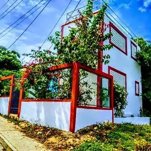 Hamacas Cartagena
